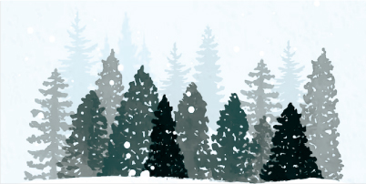 &nbsp;<b><font color=navyblue><font size=5>LET IT SNOW</font>